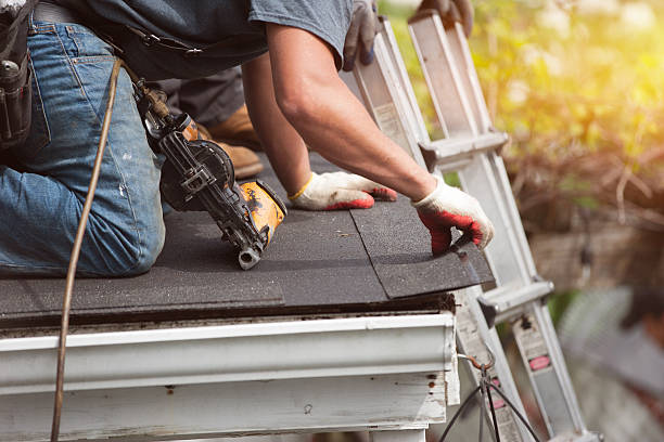 Best Flat Roof Repair Services  in Hartington, NE